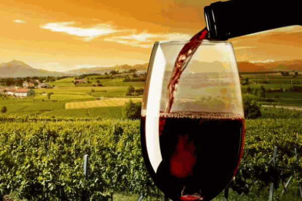 爱思丹露葡萄酒